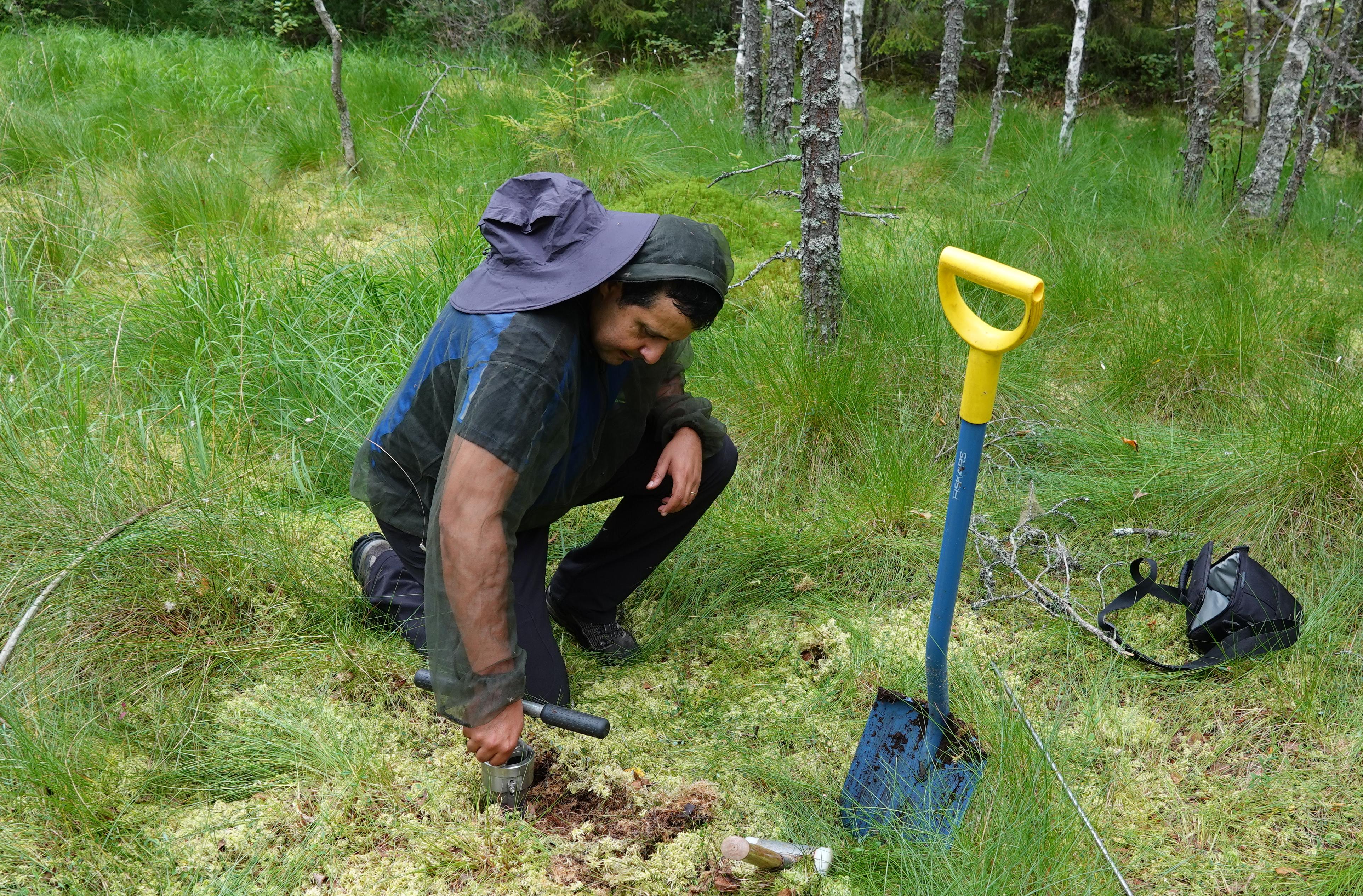 Prélèvement des carottes dans des lacs boréaux en Finlande, 2023